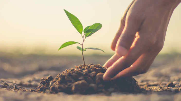 The New Heaven and New Earth