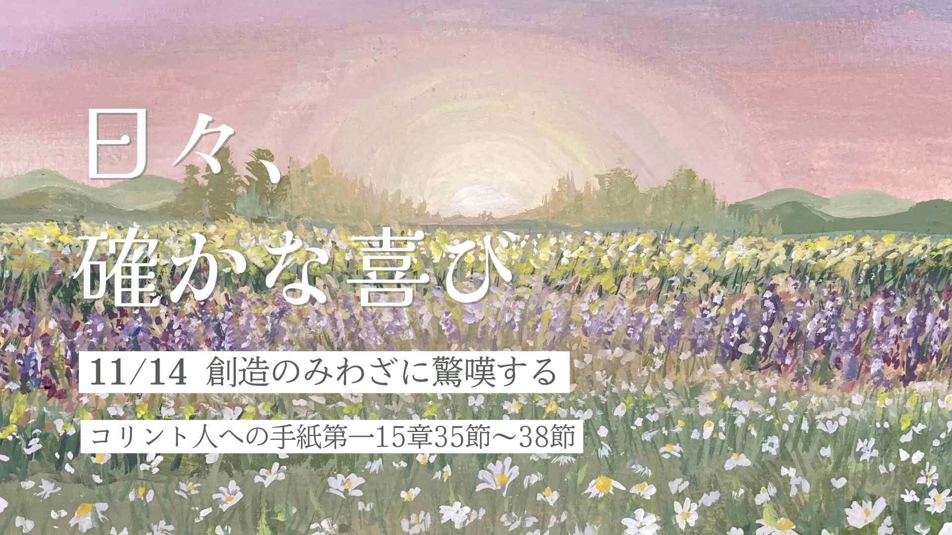 edevotion - hero solid_joys 11.14