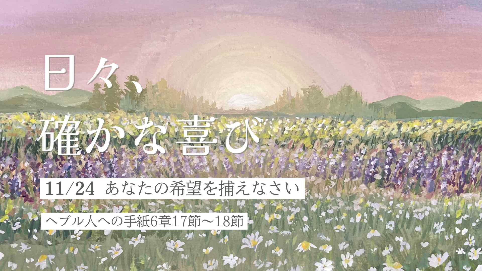 edevotion - hero solid_joys 11.24