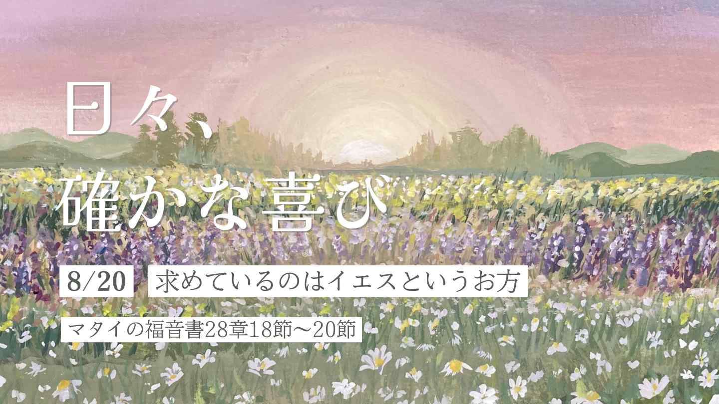 edevotion - thumb solid_joys 8.20